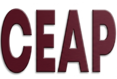 COMITÉ ESCOLAR DE ADMINISTRACIÓN PARTICIPATIVA (CEAP) CBTIS 03
